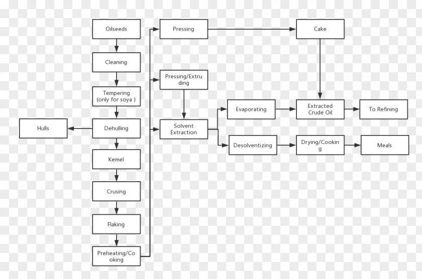 Groundnut Oil Document Line White Angle PNG