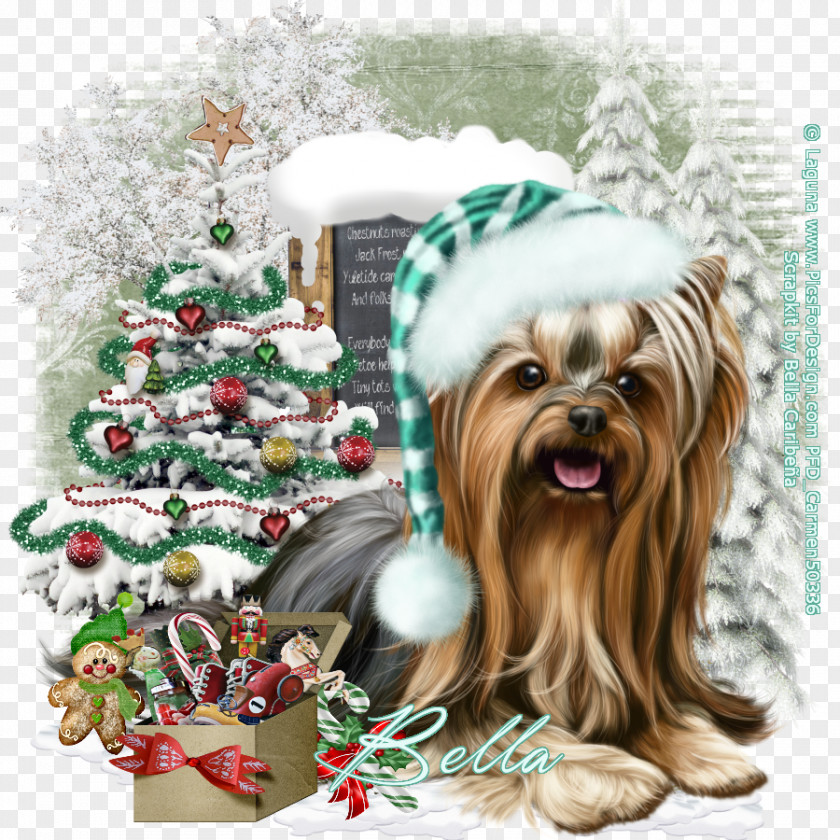 Yorki Yorkshire Terrier Dog Breed Companion Christmas Ornament Toy PNG