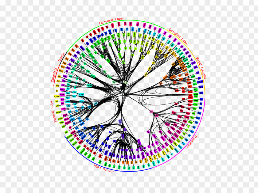 Almaden BrainBasal Synapse IBM Research PNG