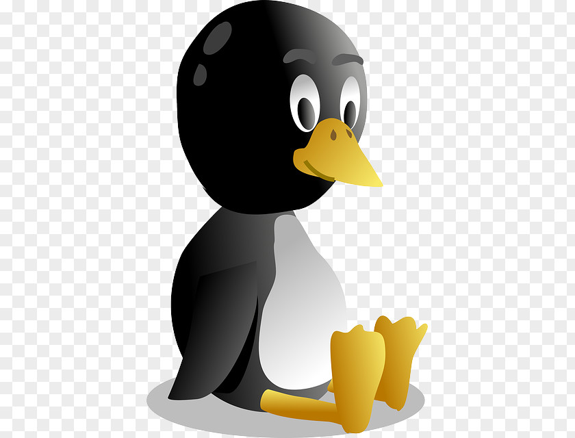 Camo Cartoon Baby Penguin Clip Art Tux Vector Graphics PNG