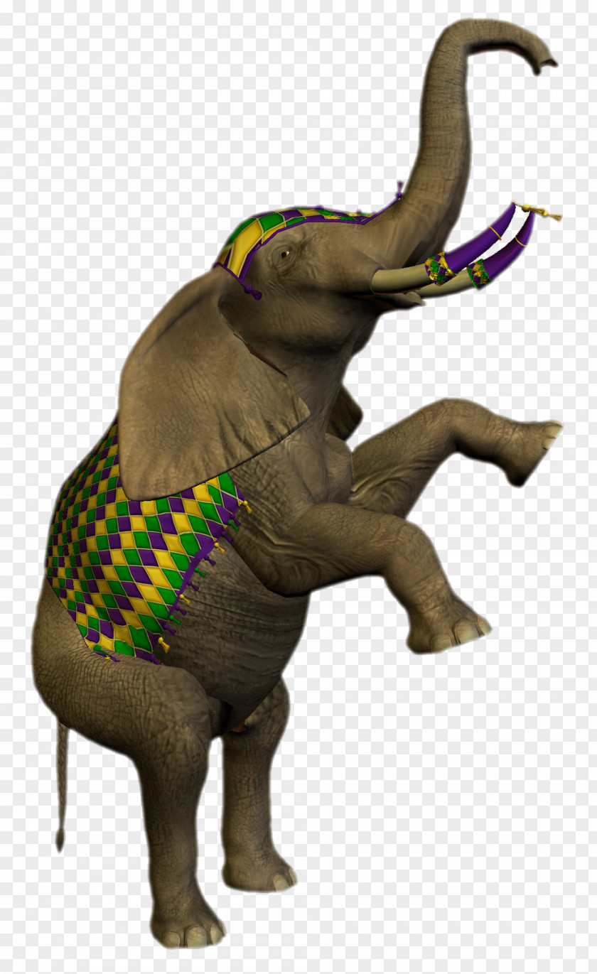 Circus African Elephant Drawing Animal PNG