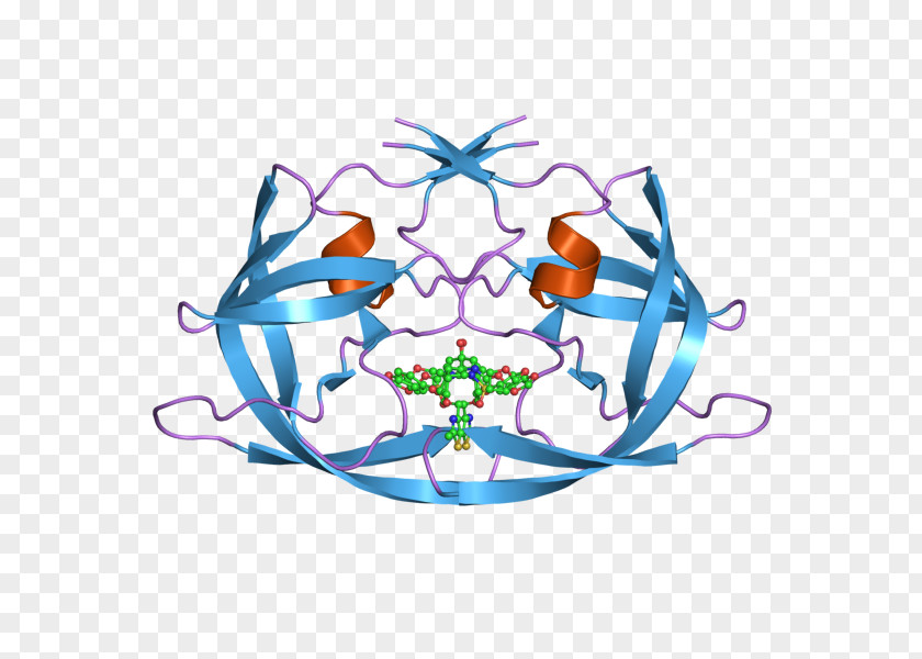 Monkey Ape Macaque Simian Immunodeficiency Virus PNG