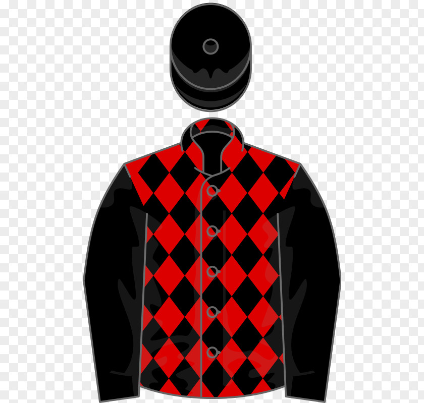 Owners Wikimedia Commons Foundation Thoroughbred Wikipedia Upavon Fillies' Stakes PNG