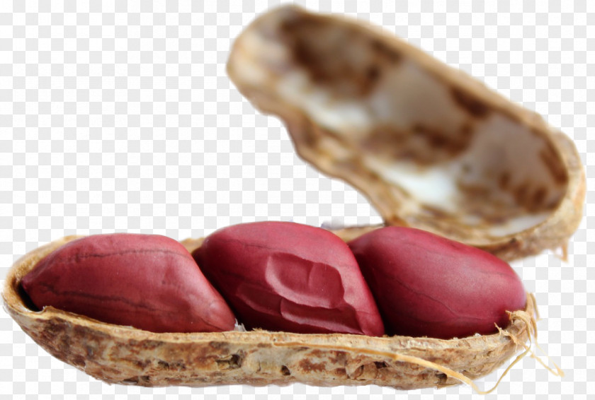 Amendoim Peanut Allergy Food Eating Health PNG