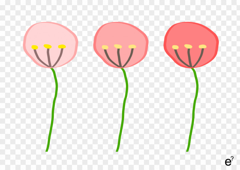 Color Board Pink M Balloon Flowering Plant Stem Clip Art PNG
