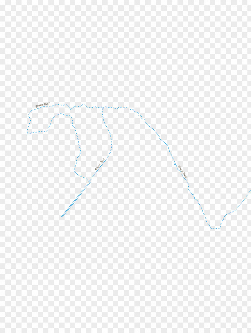 Line Drawing White PNG