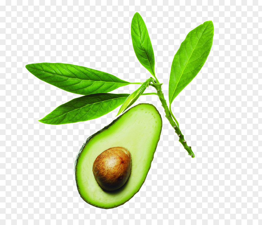 Avocado Element Oil Nail Art Polish PNG