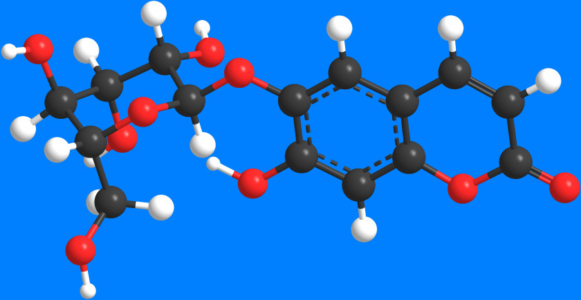 Blood Molecule Antiplatelet Drug Coagulation Chemistry Clopidogrel PNG