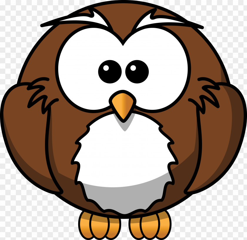 Cartoon Image Owl Clip Art PNG