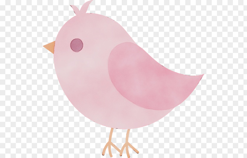 Chicken Bird Pink Clip Art PNG