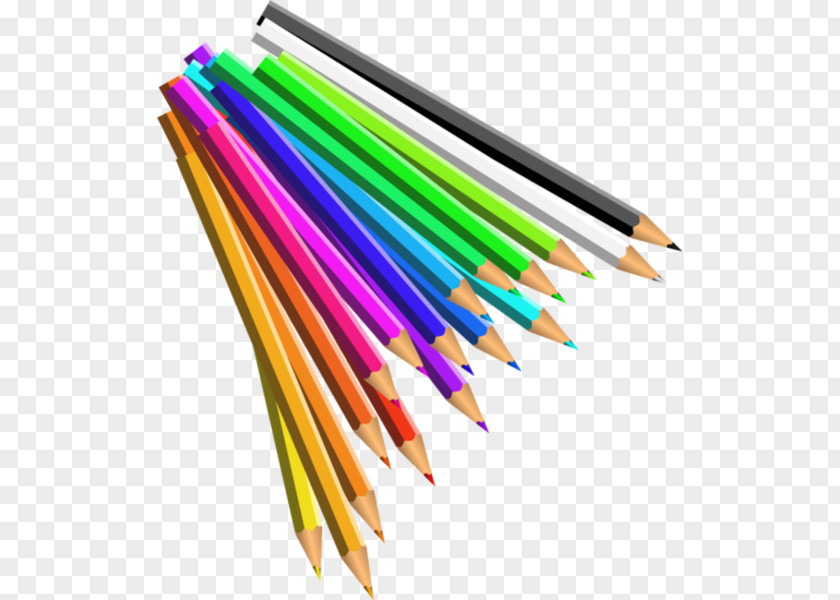 Crayons School Supplies Pencil Clip Art PNG