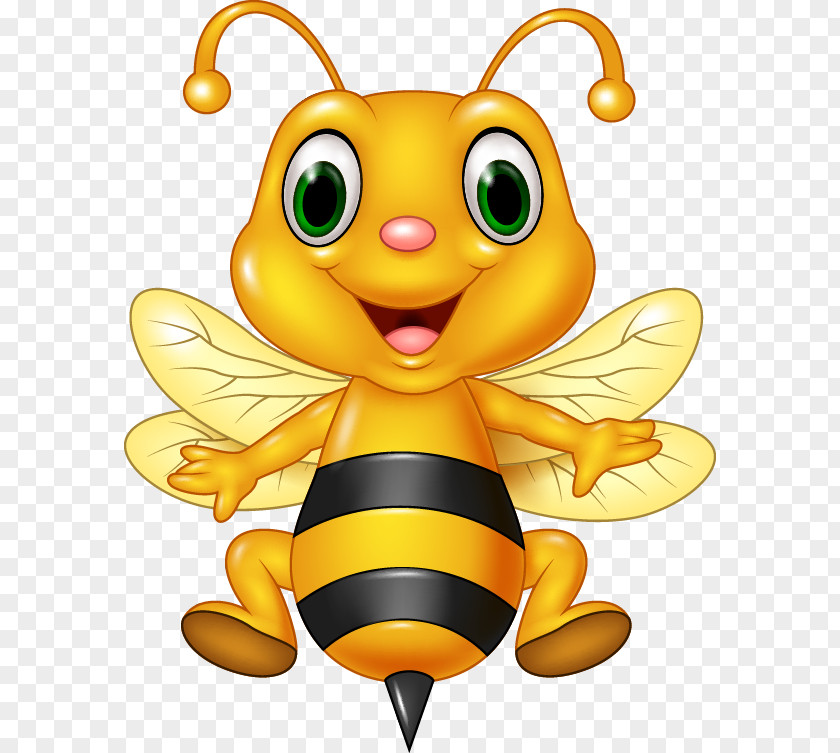 Cute Bee Honey Cartoon PNG