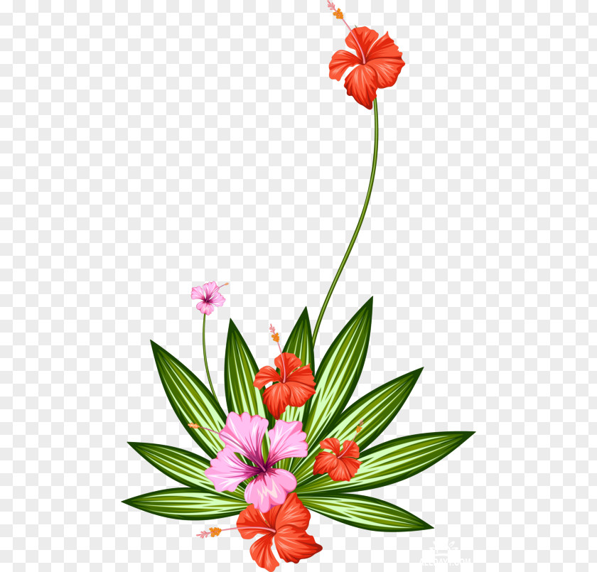 Flower Paper Tropics Floral Design PNG