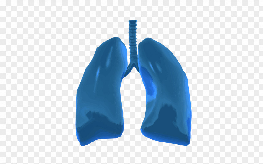 Lungs Lung On A Chip Organ-on-a-chip Tissue PNG