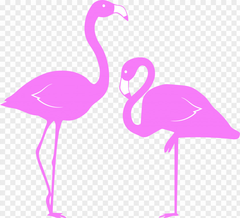 Beak Water Bird Flamingo PNG