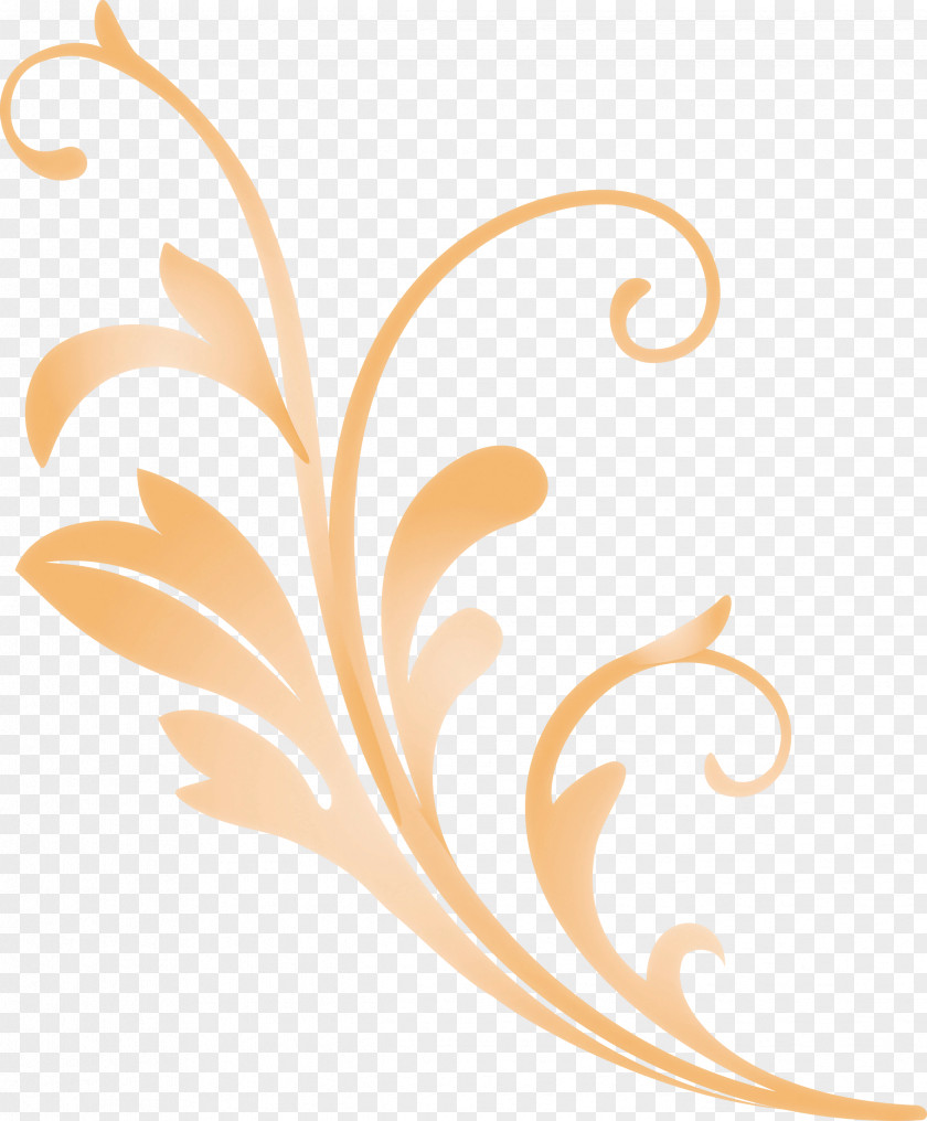 Flower Frame Decoration PNG