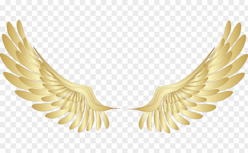 Golden Wings Photos Wing Gold Clip Art PNG