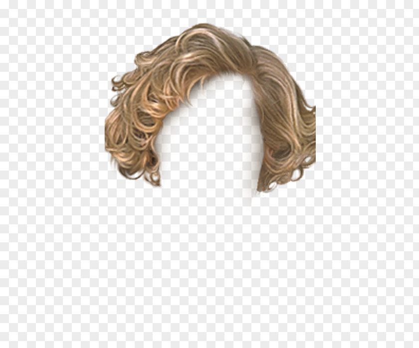 Hair Wig Hairstyle PNG