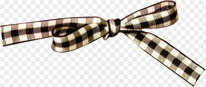 Plaid Bow World Wide Web PNG