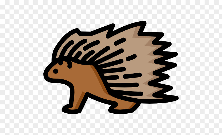 Porcupines Carnivora Snout Clip Art PNG