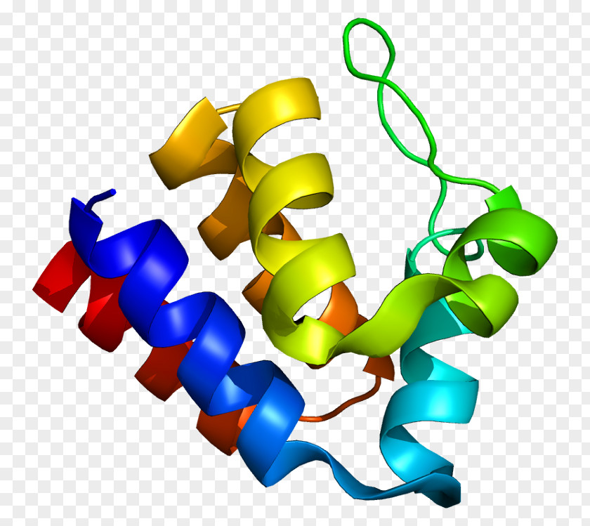 PYCARD Signal Transducing Adaptor Protein CARD Domain Pyrin PNG