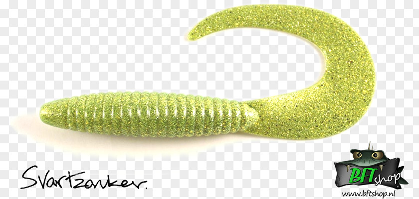 Www.bftshop.nl Webshop Bass Worms Itsourtree.com ColorBig Tail BFT Shop PNG