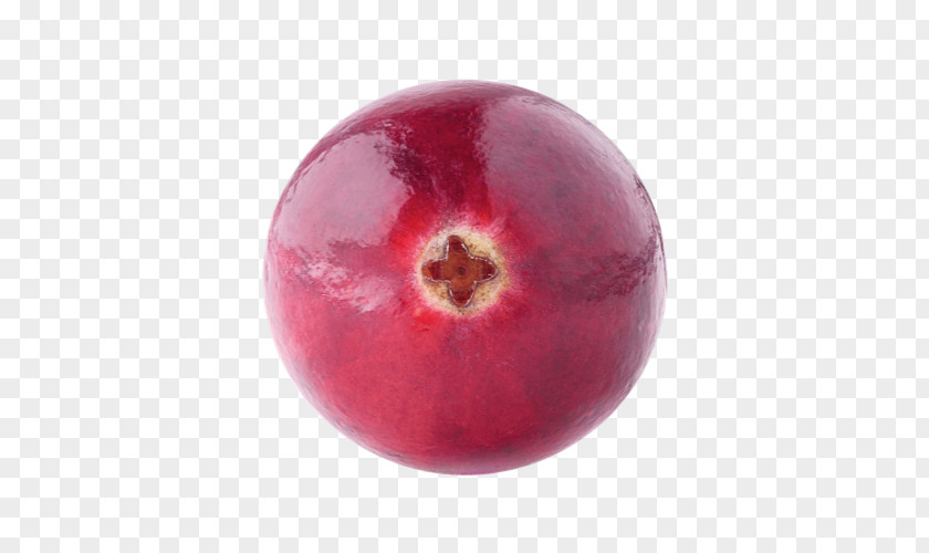 Cranberry Magenta Auglis PNG