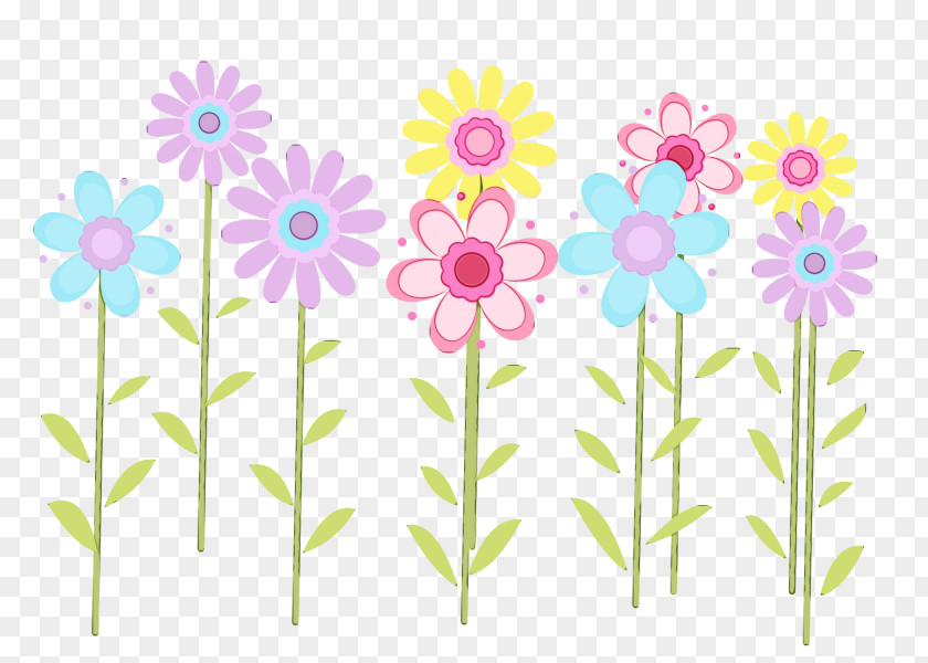 Daisy Pedicel Watercolor Pink Flowers PNG