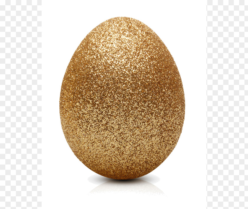 Egg Easter Chicken Photography PNG