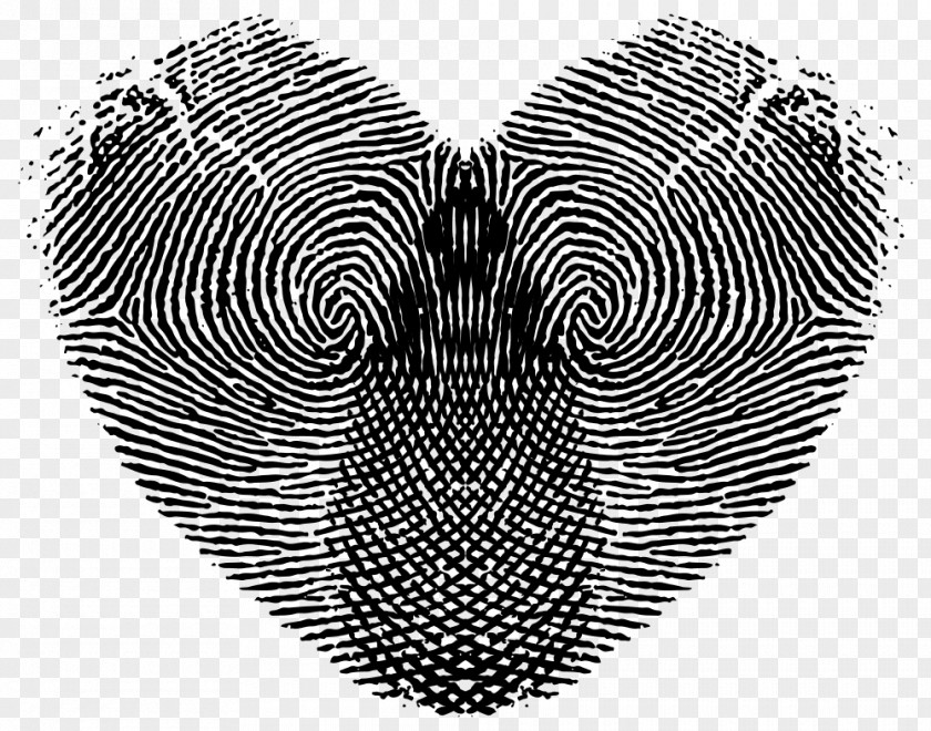 Fingerprint Clip Art PNG