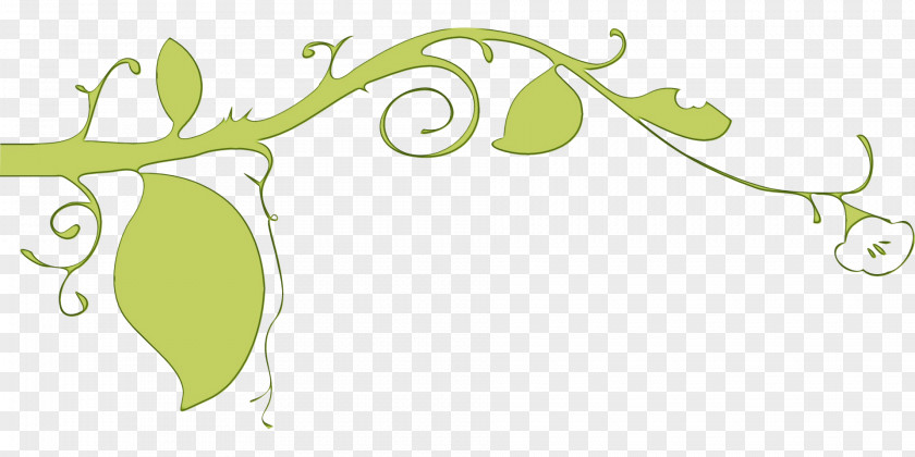 Plant Stem Branch Leaf Green Clip Art PNG