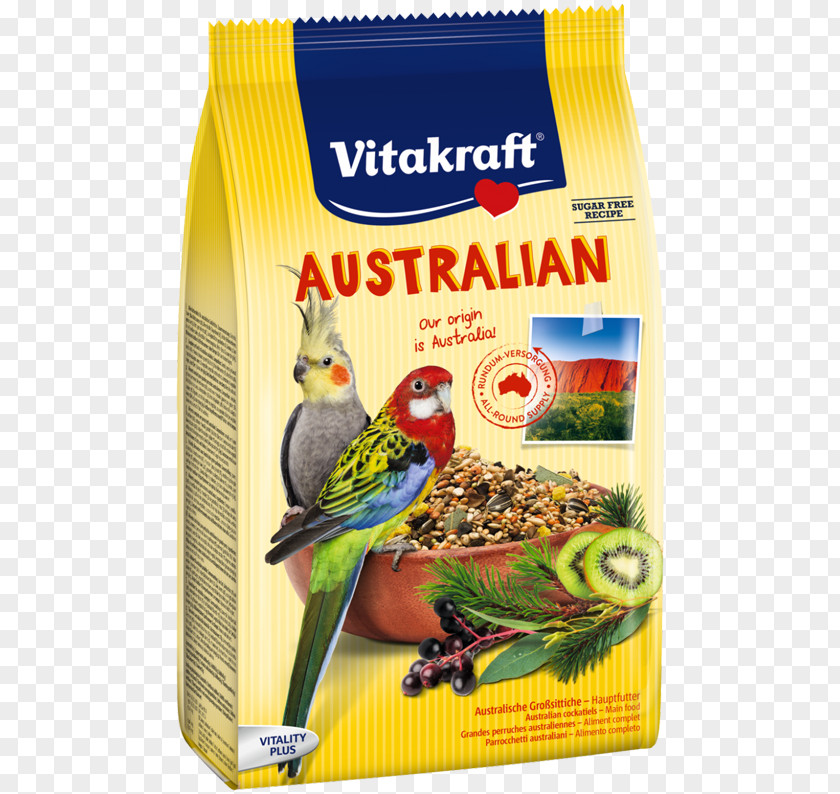 Australia Australian Cuisine Cockatiel Budgerigar Parrot PNG