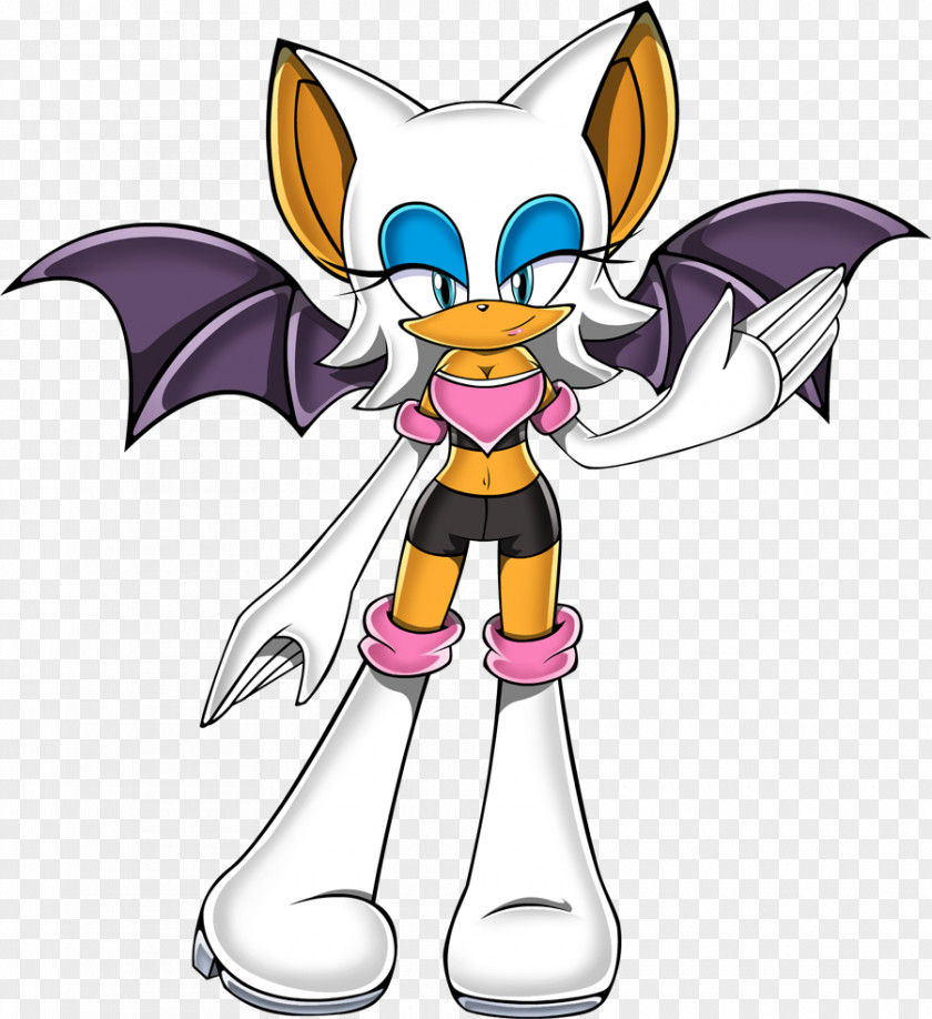 Bat Rouge The Knuckles Echidna Tails Shadow Hedgehog PNG