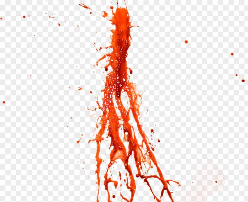 Blood Image Icon PNG