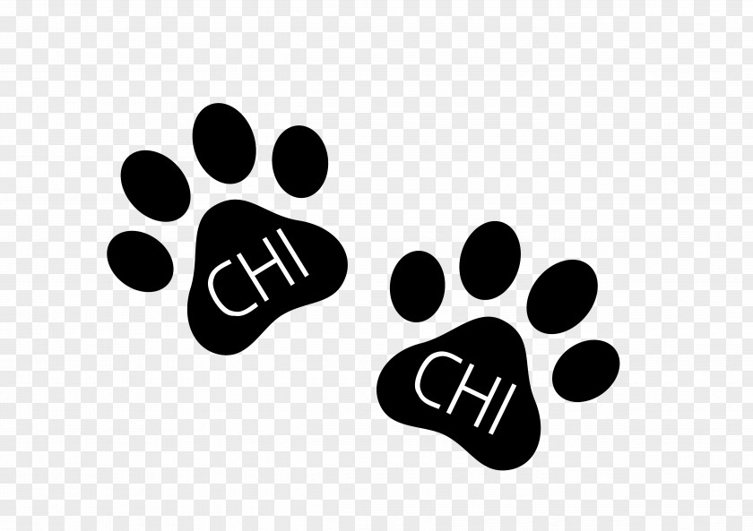 Dog Paw Cat PNG
