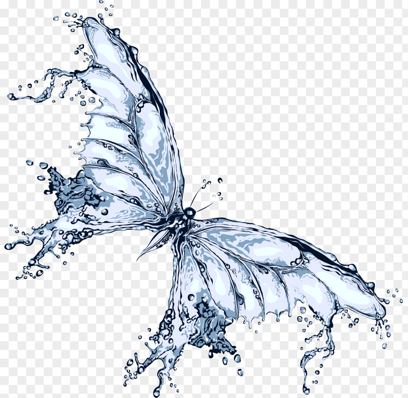 Liquid Butterfly Water Clip Art PNG