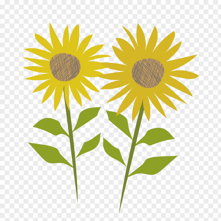 Sunflower Flower Web Browser Gfycat PNG