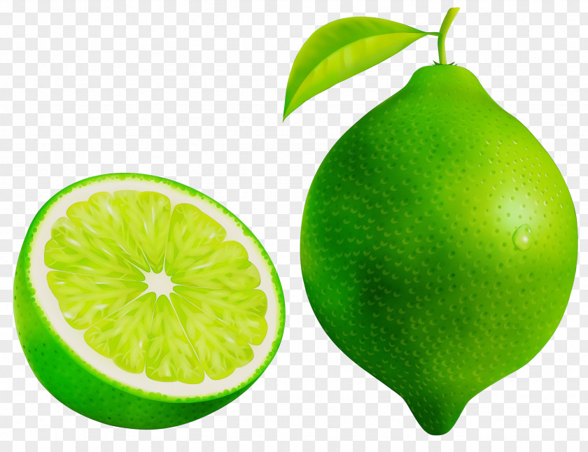 Sweet Lemon Food Persian Lime Fruit Green Citrus PNG