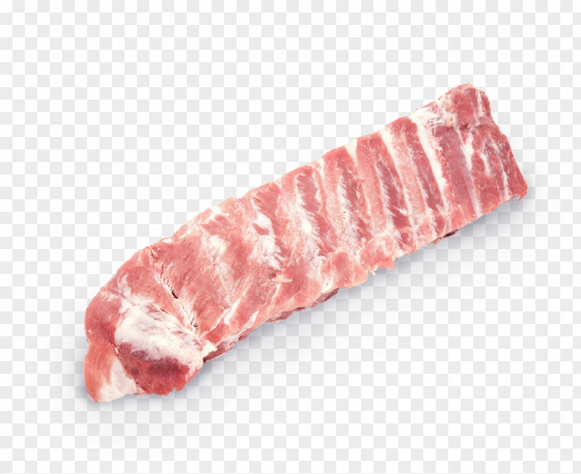 Barbecue Spare Ribs Pork PNG