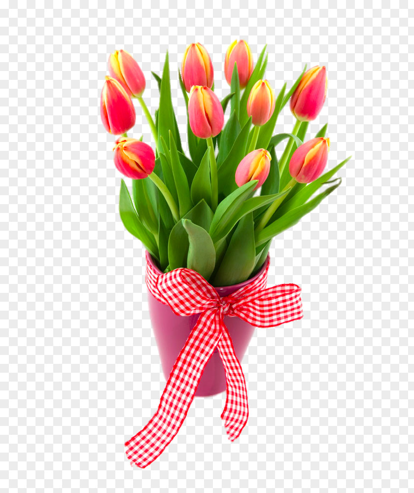 Potted Tulips Tulip Flowerpot PNG