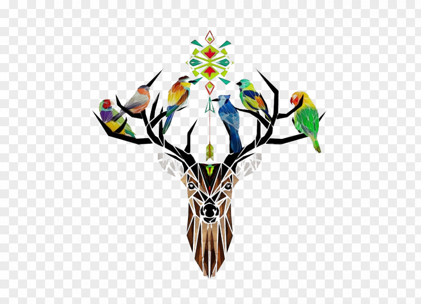 Stained Glass Parrot Bird Plant Symmetry PNG