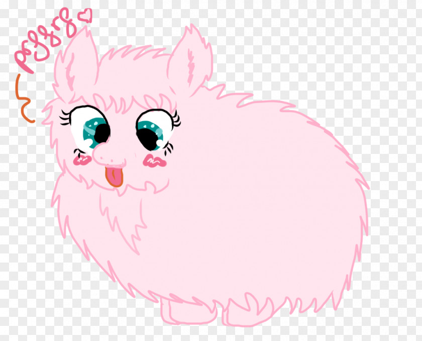 Cat Whiskers Snout Pig Dog PNG