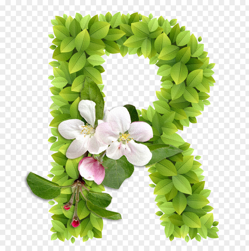 Cath Kidston Alphabet Letter Number Ch PNG