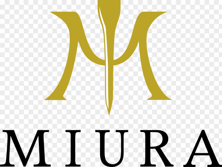 Club Golf Clubs Miura Inc Shaft Iron PNG