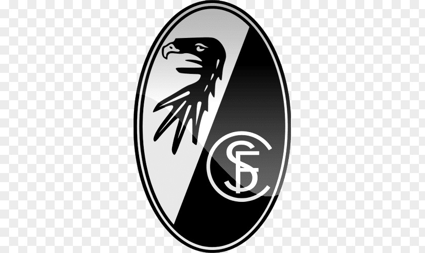Denmark Football Team SC Freiburg II Bundesliga DFB-Pokal PNG