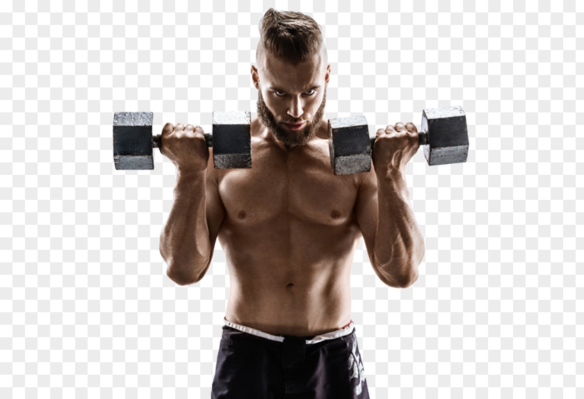 Dumbbell Weight Training Exercise Biceps Physical Strength Shoulder PNG