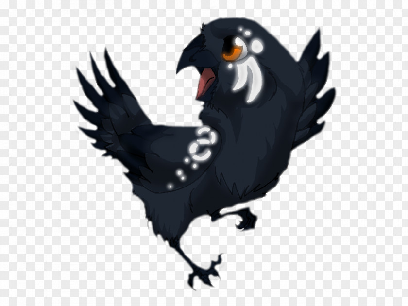 Eagle Rooster Beak PNG