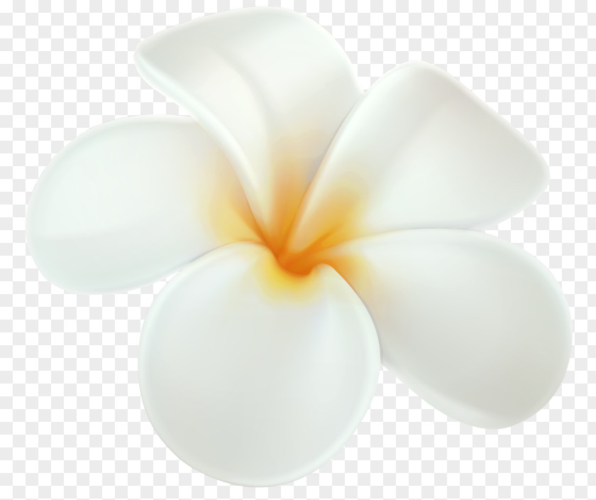 Frangipani Hawaii Clip Art Flower PNG
