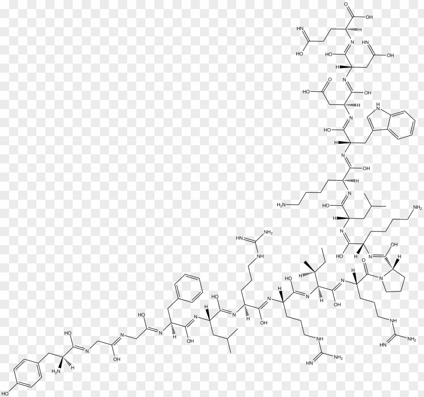 Hormone Secretion Line Art Point White Angle PNG