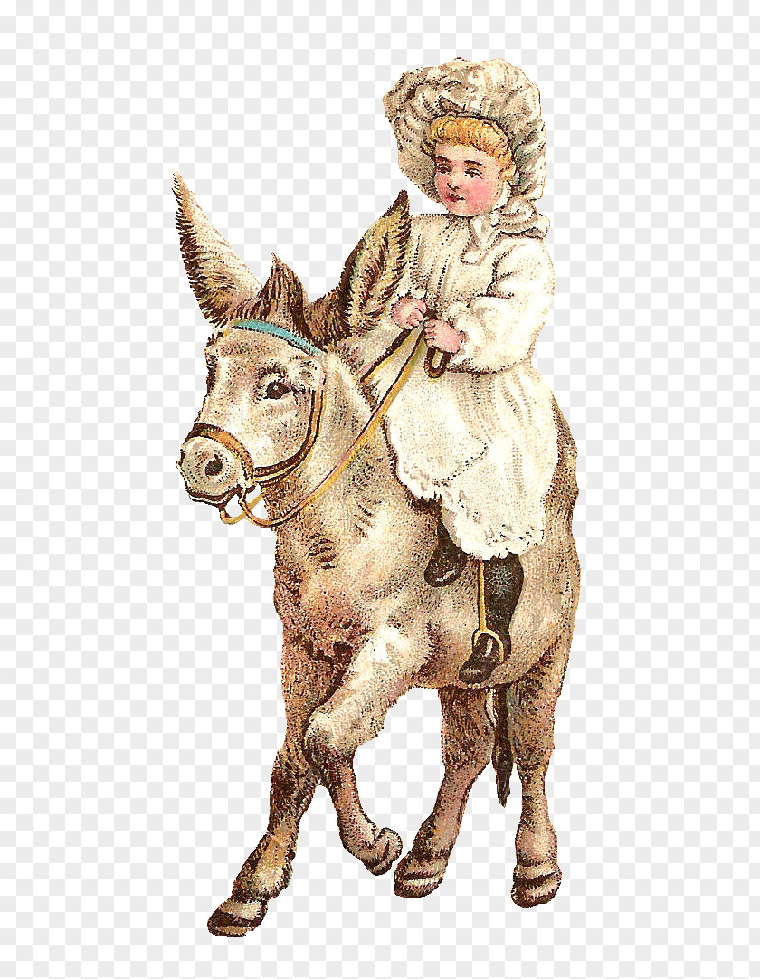 Kids Postcard Pony Horse Art PNG